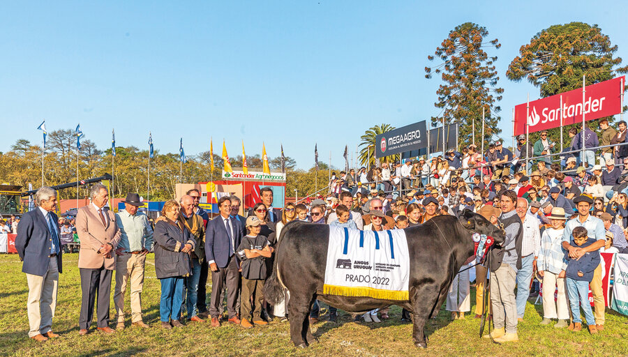 imagen de Las cabañas ganadoras de las tradicionales juras de ganado en la Expo Prado
