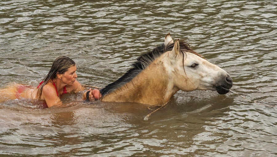 imagen de En Punta del Este, la amazona Alfonsina Maldonado invita a una experiencia distinta: nadar con caballos