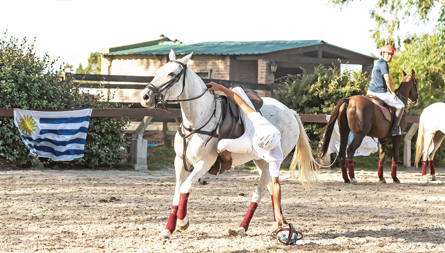 imagen de Desembarcó en Uruguay el horseball, un deporte que busca revolucionar el mundo ecuestre